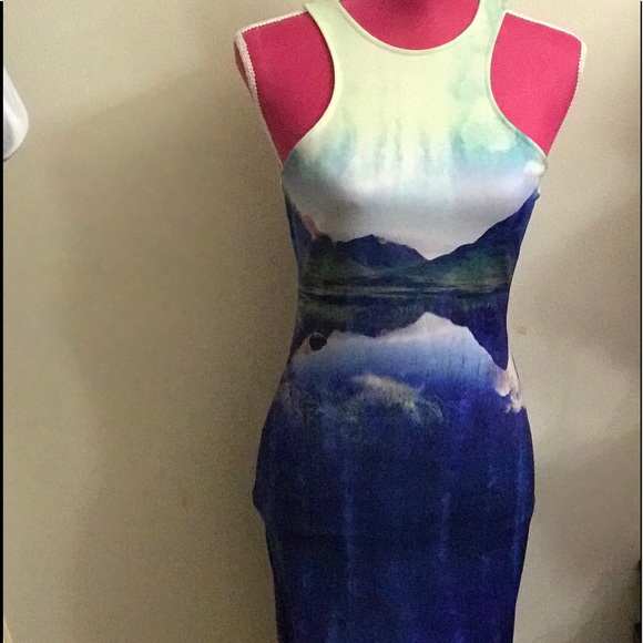 H&M Bodycon Tank Dress - Picture 2 of 4