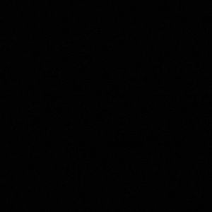 Meet your Posher, Gracey