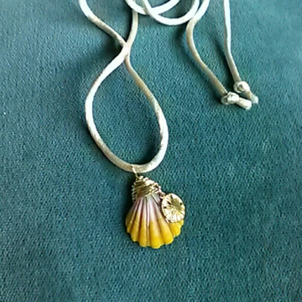 RARE SUNRISE SHELL Wrap/Choker