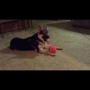 Meet your Posher, Tyler