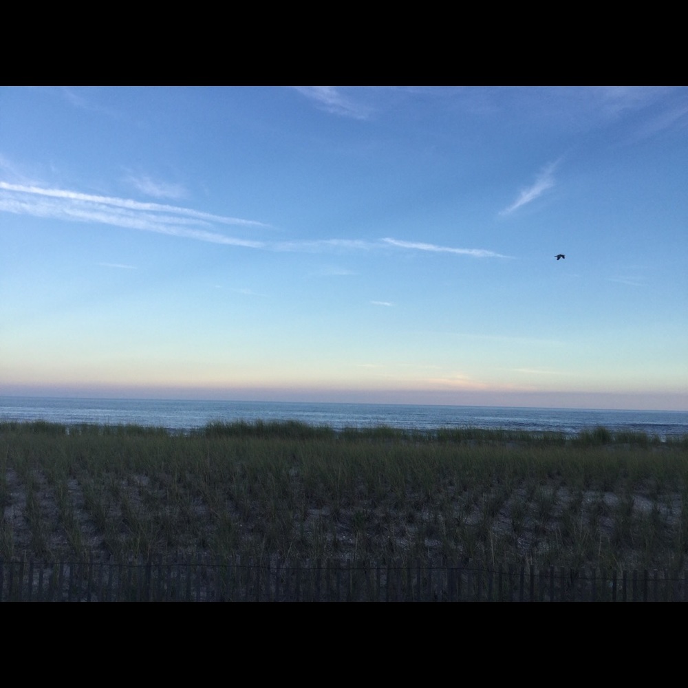 Meet your Posher, Rocky