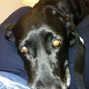 Meet your Posher, Scott