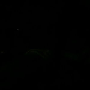 Meet your Posher, Hernandez