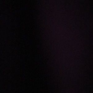 Meet your Posher, Wendell