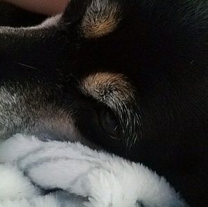 Meet your Posher, Chelsea