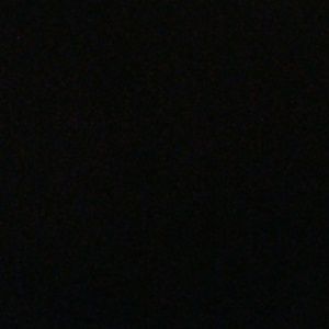 Meet your Posher, Torrey