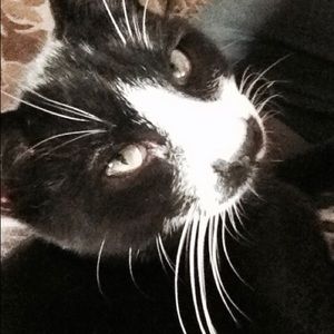 Meet your Posher, Debi