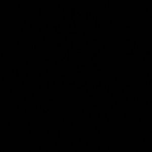 Meet your Posher, Eli