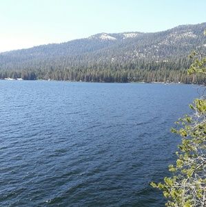 Meet your Posher, Luis