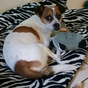 Meet your Posher, Shannon