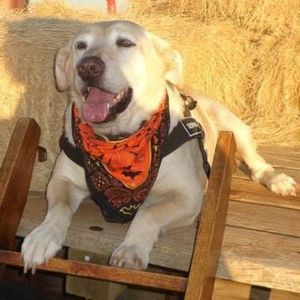 Meet your Posher, Twana