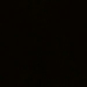 Meet your Posher, Bryan