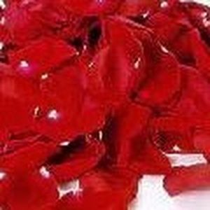 Meet your Posher, Akilah