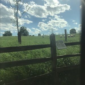 Meet your Posher, Angie