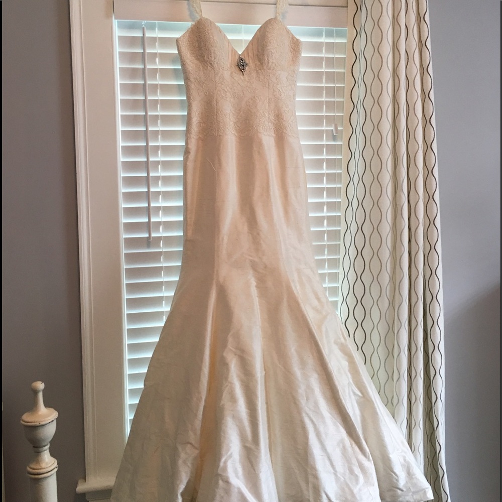 Alisa Benay Wedding Dress
