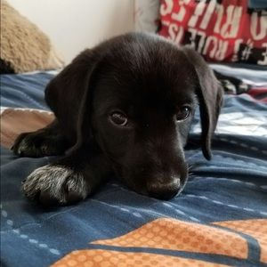 Meet your Posher, Deanna