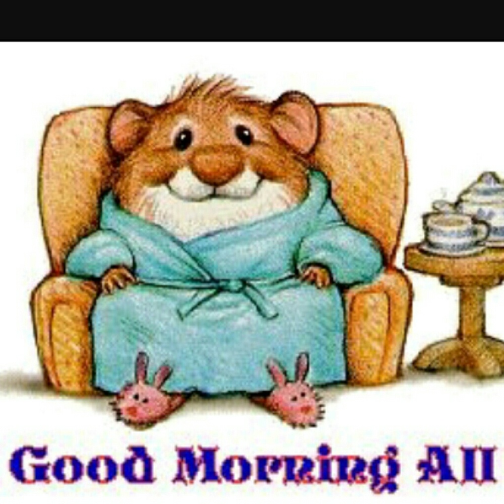 Good Morning 🍃🍃🍃🍃🍃🍃🍃🍃🍃🍃