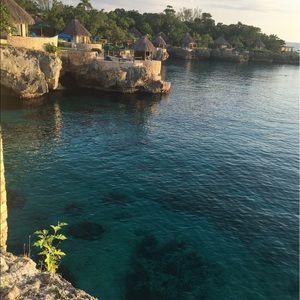 Meet your Posher, Joy