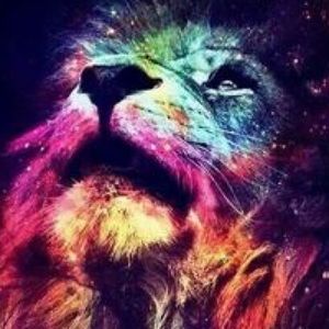 Meet your Posher, Brady