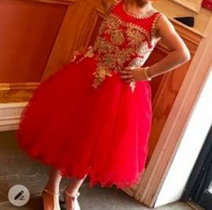 Pageant or Party Dress