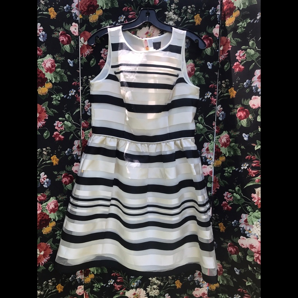 BR Monogram Striped Organza Fit and Flare Dress