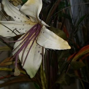 Meet your Posher, Irma