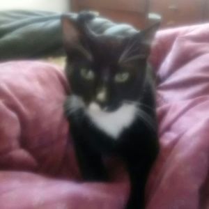 Meet your Posher, Diane