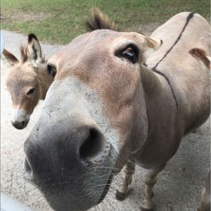 Meet your Posher, Todd