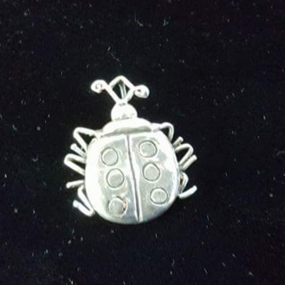 Sterling silver handcrafted Ladybug!