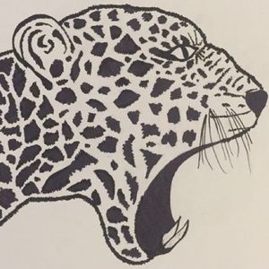 Meet your Posher, Dan