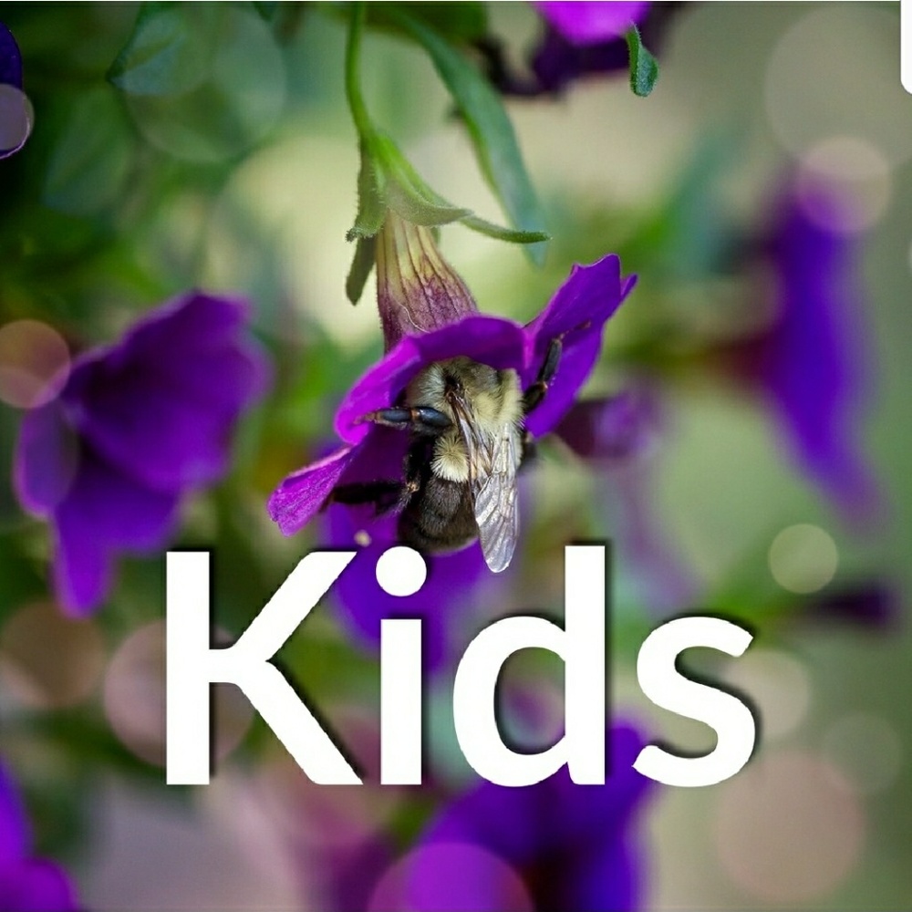 Kids clothing