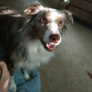 Meet your Posher, Stacy