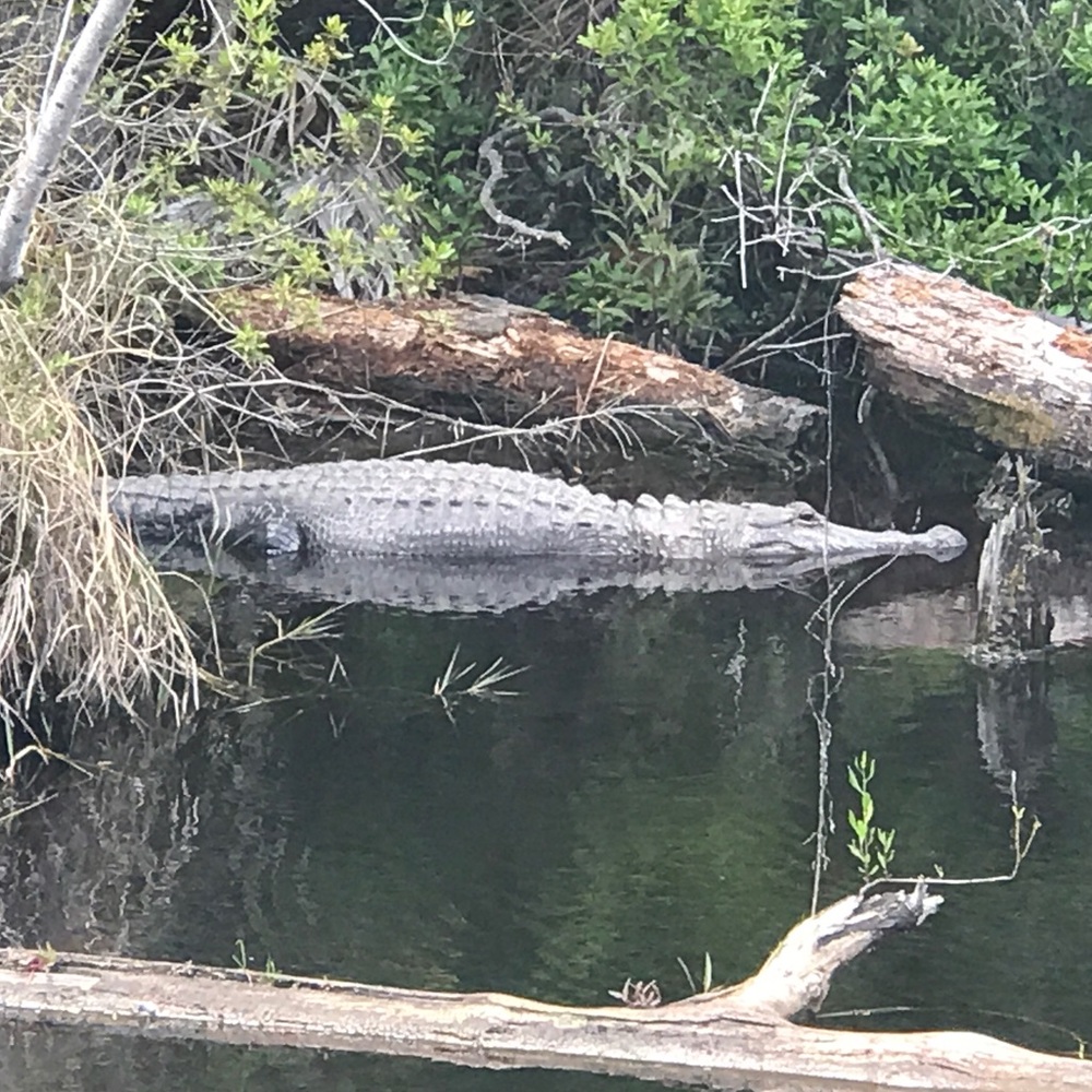 Meet your Posher, Damion