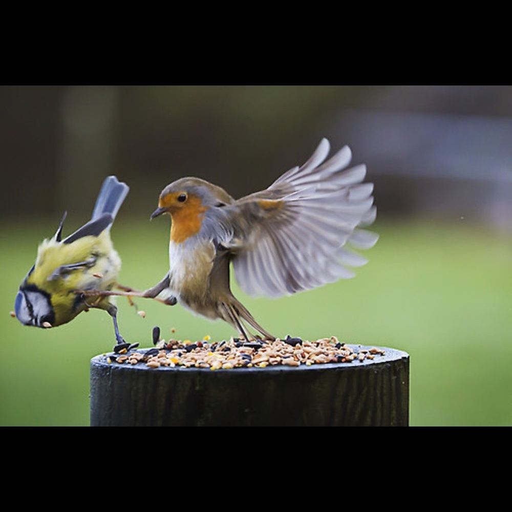 Meet your Posher, Christine