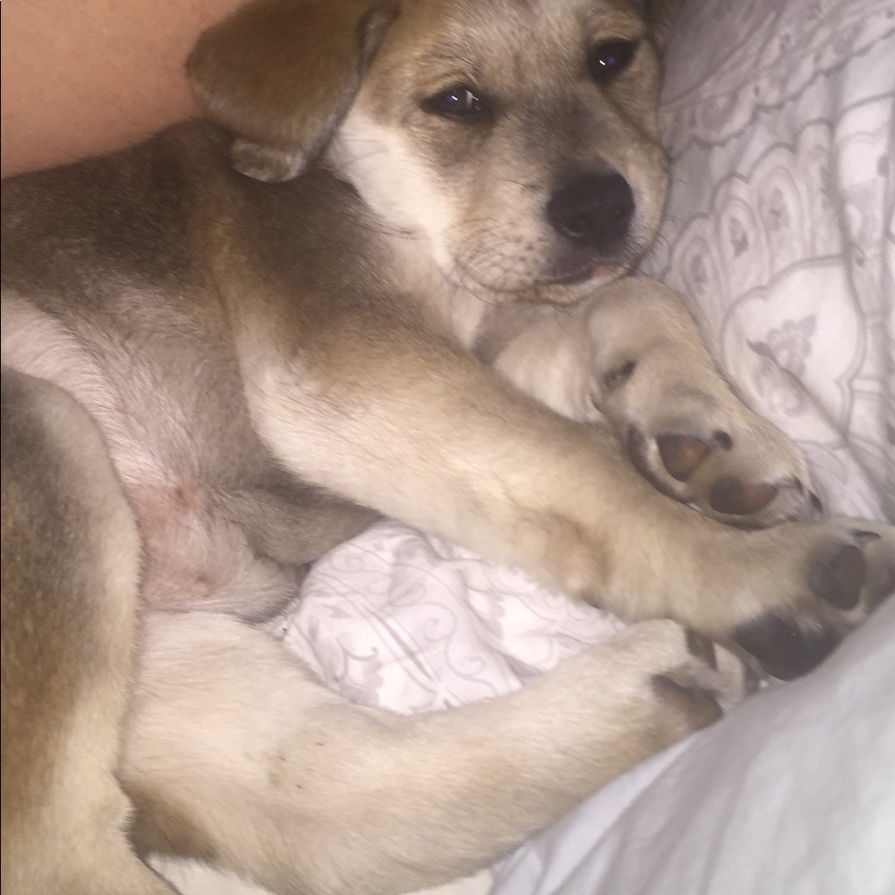 Meet your Posher, Kathy