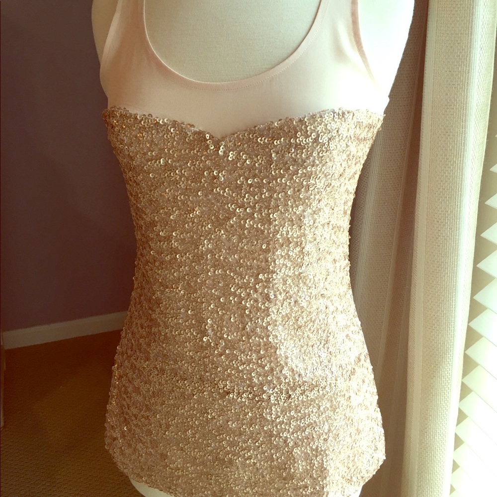 The Limited Pink Sequin Top with Sweetheart Detail