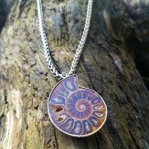 "Reveled Relic" ⛰ Ammonite Fossil Necklace