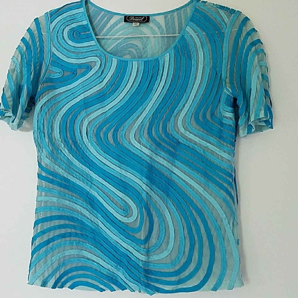 Beautiful and unique French sheer ribbon shirt!