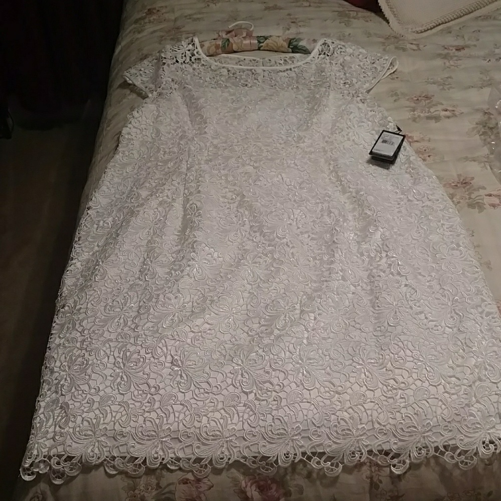 NWT! Adrianna Papell White lace sheath dress