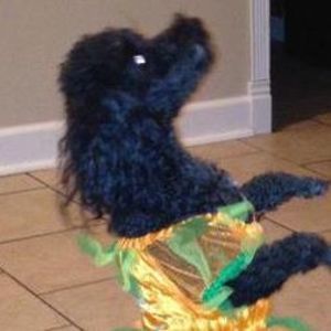 Meet your Posher, Laure