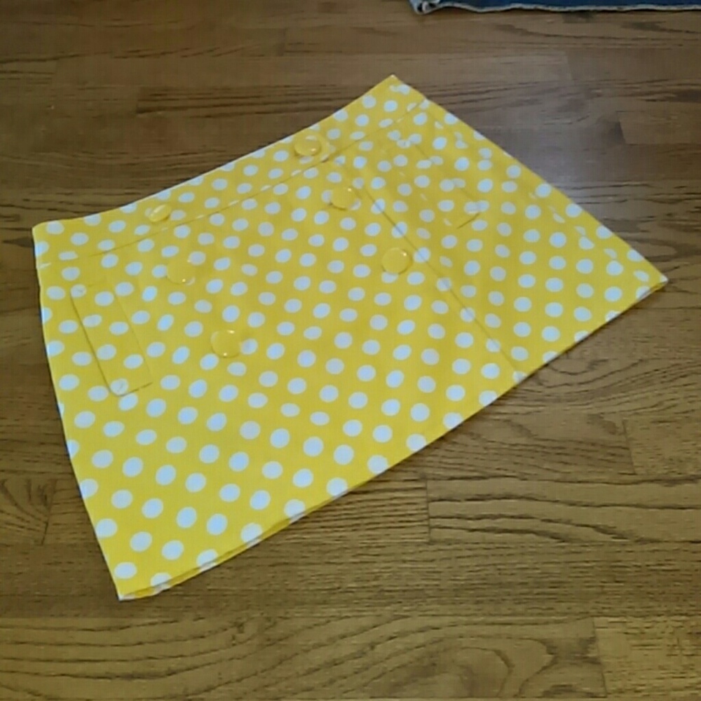 EUC J Crew Skirt