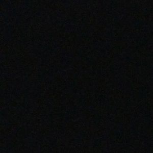 Meet your Posher, Joey