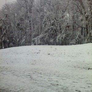 Meet your Posher, Ramona