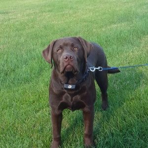 Meet your Posher, Natalie