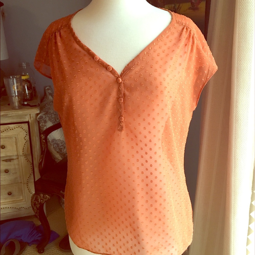 The Limited Orange Dotted Blouse