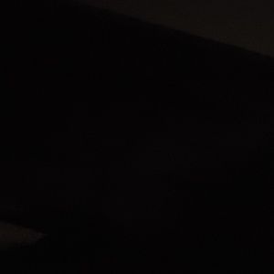 Meet your Posher, Laci-ann