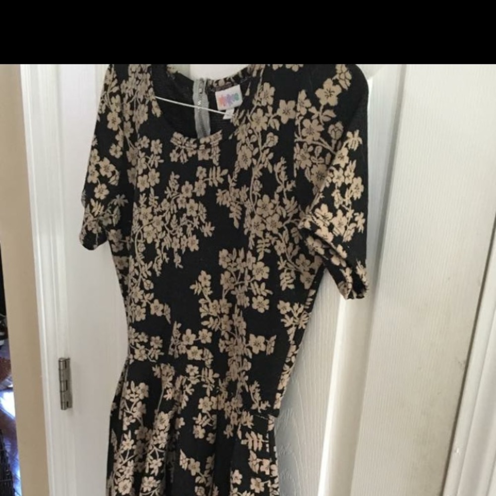 Small lularoe Amelia