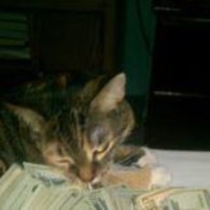 Meet your Posher, Lucius