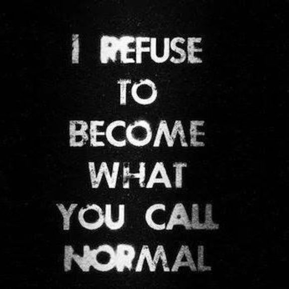 Meet your Posher, Kevin - Picture 1 of 1