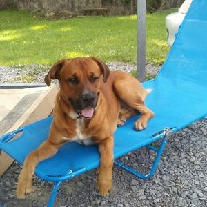 Meet your Posher, Linda